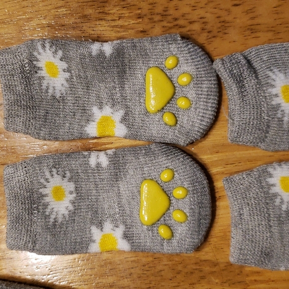 Gray and Daisy Print Matching Socks for Dog. - Picture 2 of 5